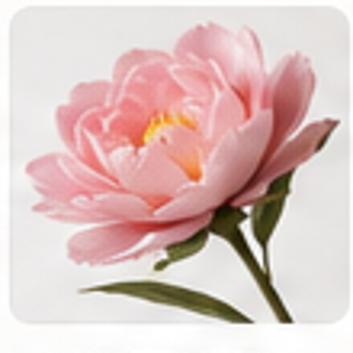 Kreppblumen